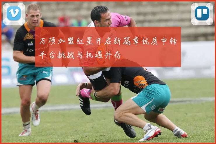 万项加盟红星开启新篇章优质中转平台挑战与机遇并存