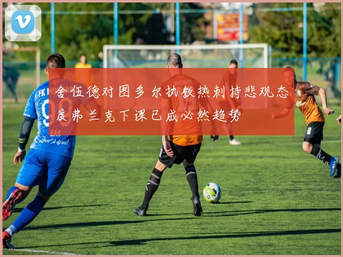 舍伍德对图多尔执教热刺持悲观态度弗兰克下课已成必然趋势