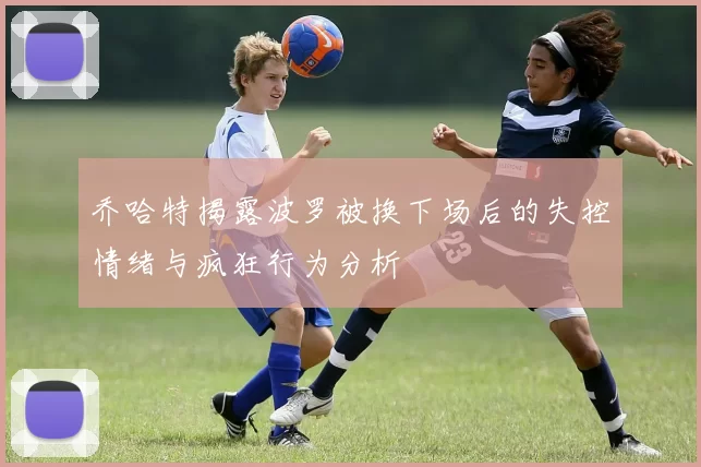 乔哈特揭露波罗被换下场后的失控情绪与疯狂行为分析